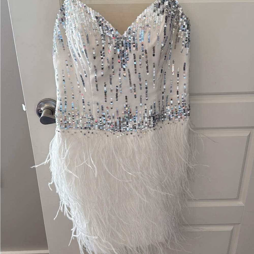 Silver Sequin and Feather Dress